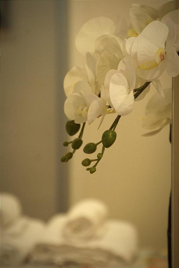 Apartamento Paula Valladolid Ngoại thất bức ảnh