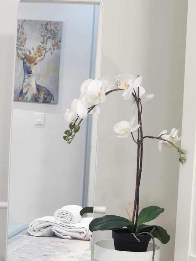 Apartamento Paula Valladolid Ngoại thất bức ảnh