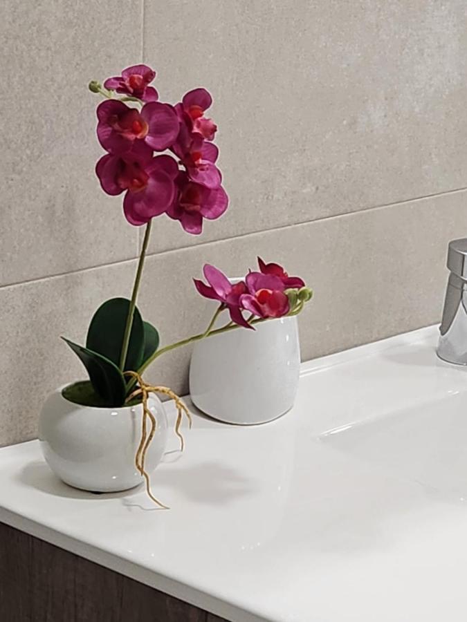 Apartamento Paula Valladolid Ngoại thất bức ảnh